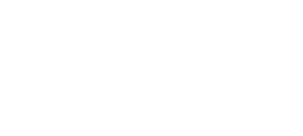 Ignite logo white