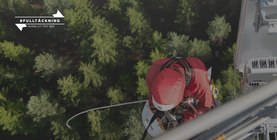 Image of a person up in a harness above a forest