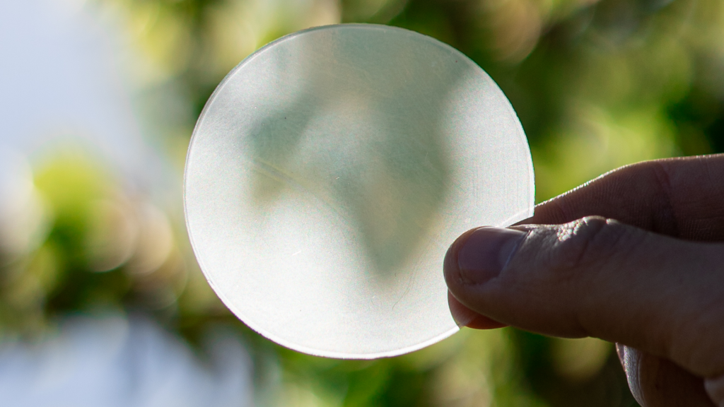 A hand holding up a membrane to the light in front of a leafy background